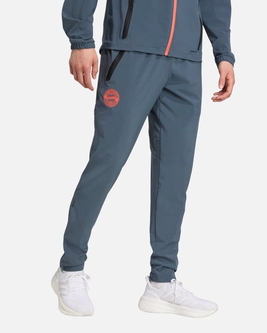 Pantalón de chándal del FC Bayern Múnich 2025/2026 - Gris