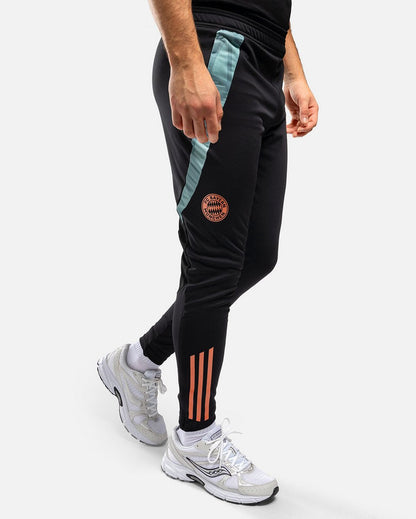 Pantalón de entrenamiento del Bayern Múnich 2024/2025 - Negro