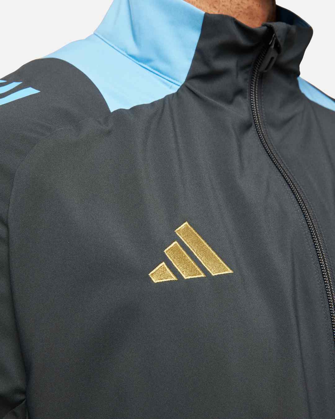 Chaqueta deportiva Argentina 2024 - Gris/Azul